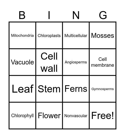 All about plants Bingo Card