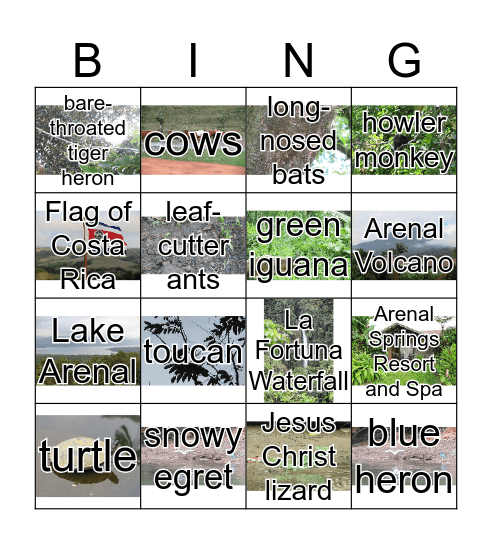 La Fortuna Bingo Card