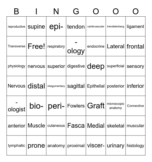 Anatomy Bingo Card