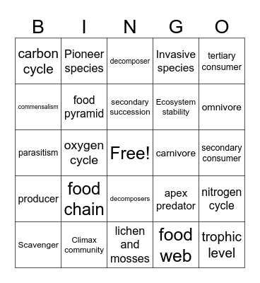 Bingo Card