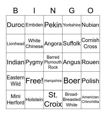 ANIMAL BINGO Card