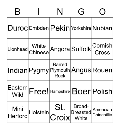 ANIMAL BINGO Card