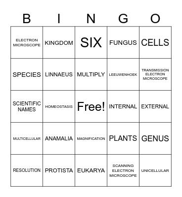 Chapter 1 Test Review Bingo Card