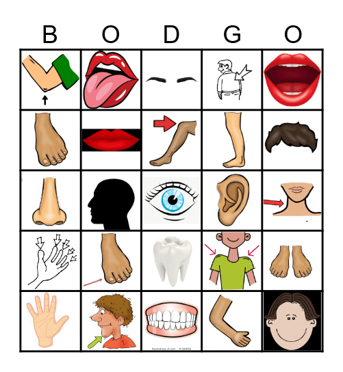 BODY PARTS Bingo Card