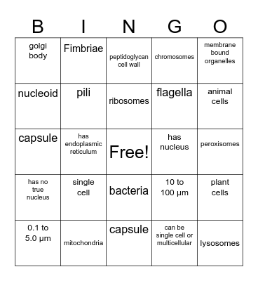 Eukaryotes and Prokaryotes Characteristics Bingo Card