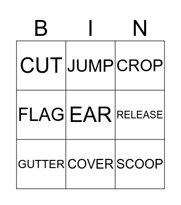 Newspaper Lingo Bingo Card