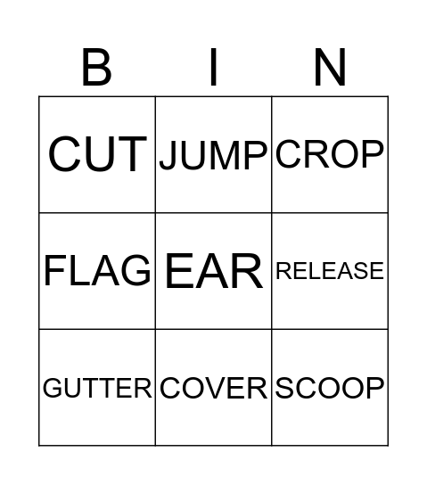 Newspaper Lingo Bingo Card