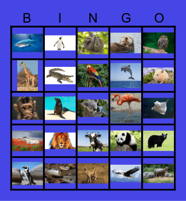 Animals Bingo Card