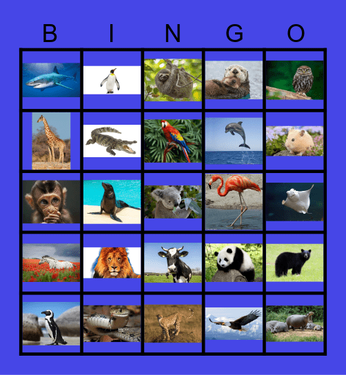 Animals Bingo Card