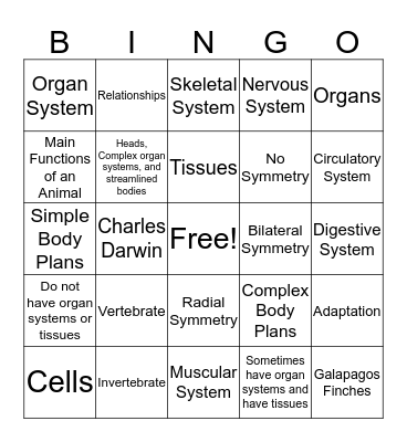 Animal Organization Bingo Card