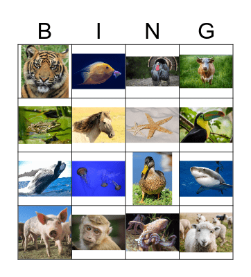 Animals Bingo Card