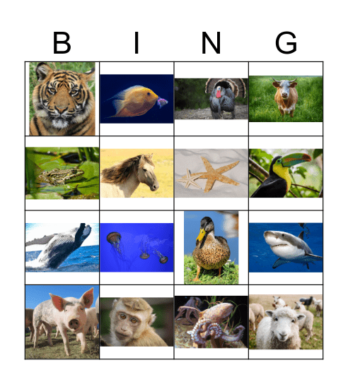 Animals Bingo Card
