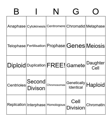 Cell Division Bingo Card