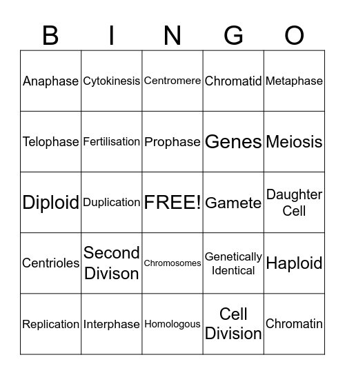 Cell Division Bingo Card