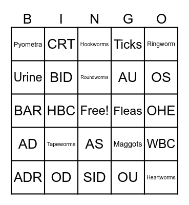 Vet Bingo Card