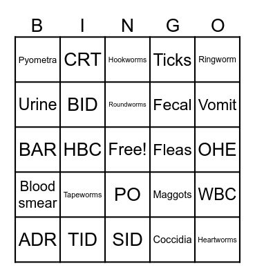 Vet Bingo Card