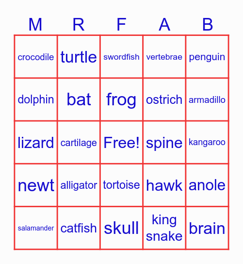 Vertebrate whaBINGO Card