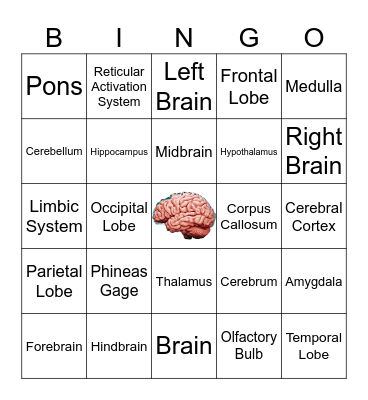 Brain Bingo Card