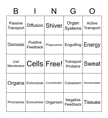 Life Functions & Homeostasis Bingo Card