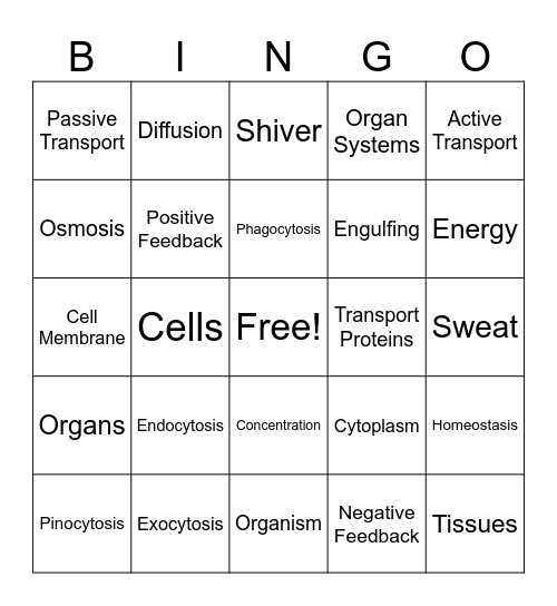 Life Functions & Homeostasis Bingo Card