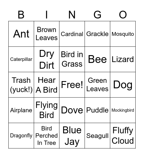 Super Seagulls Bird Club Bingo Card