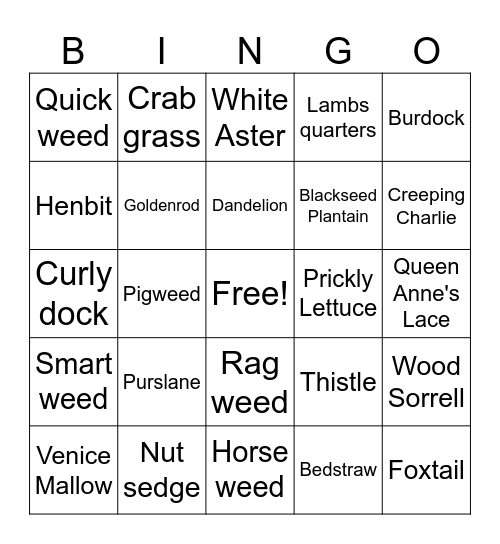 Common Weeds Bingo Card