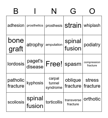 Musculoskeletal System Bingo Card