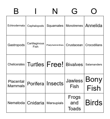 Animal Phylum Bingo Card