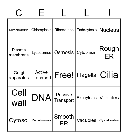 Cell BINGO Card