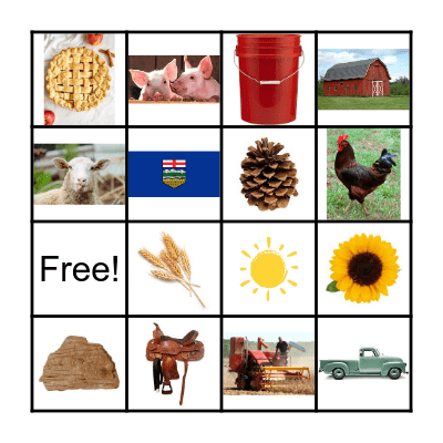 PICTURE BINGO Card