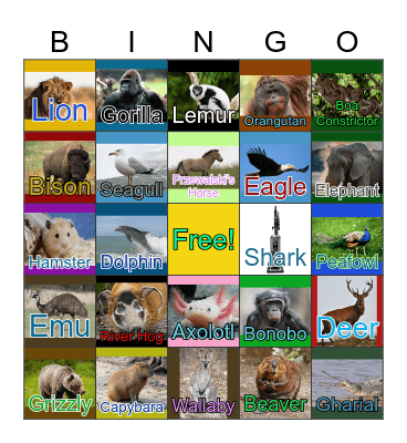 Animal Bingo #3 Bingo Card