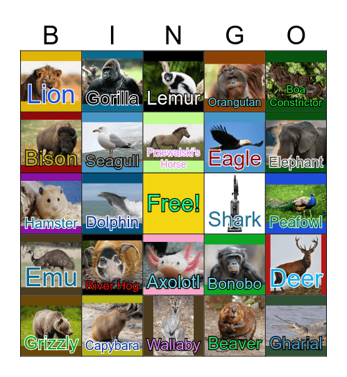 Animalo Bingo #3 Bingo Card