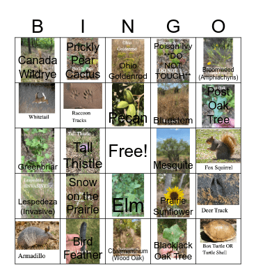 Lake Texoma State Park Hiking Bingo Card
