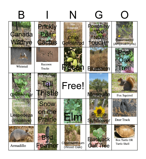 Lake Texoma State Park Hiking Bingo Card