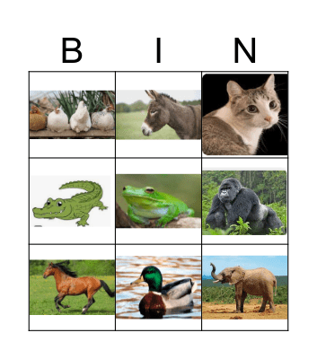 Animal Bingo Card