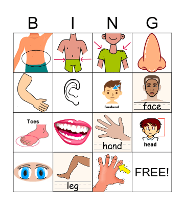 Te Reo Maori Body Parts Bingo Card