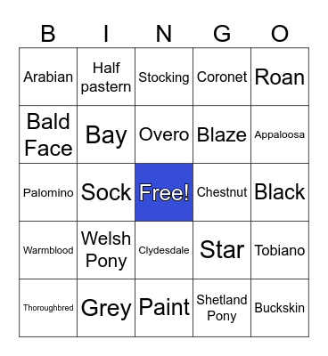 Horse Breeds, Colors, Markings Bingo Card