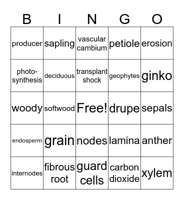 Botany Bingo:  Lessons 1-3; 5-10 Bingo Card
