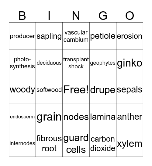 Botany Bingo:  Lessons 1-3; 5-10 Bingo Card