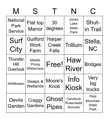 MST Bingo Card