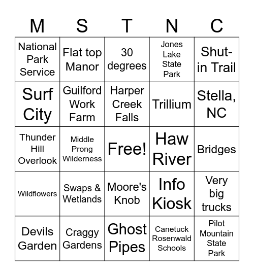 MST Bingo Card