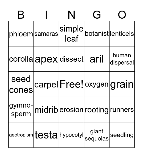 Botany Bingo:  Lessons 1-3; 5-10 Bingo Card