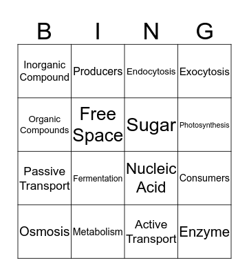 Science Bingo Card