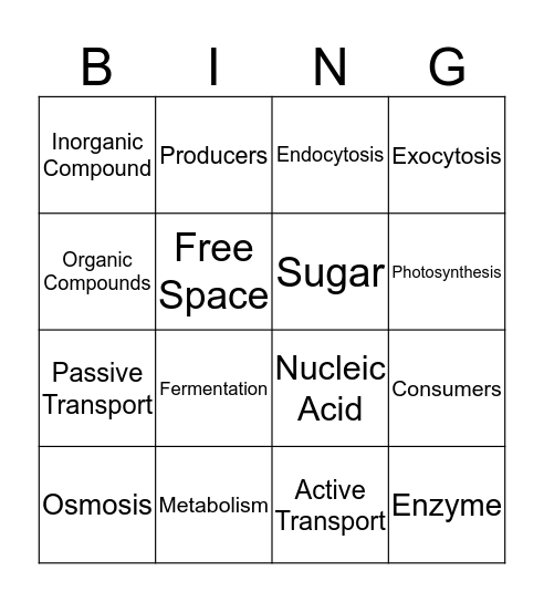 Science Bingo Card