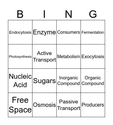 Science Bingo Card