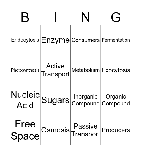 Science Bingo Card