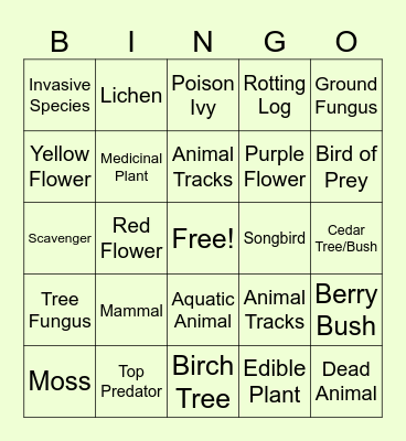 Ecosystem Survey Bingo Card