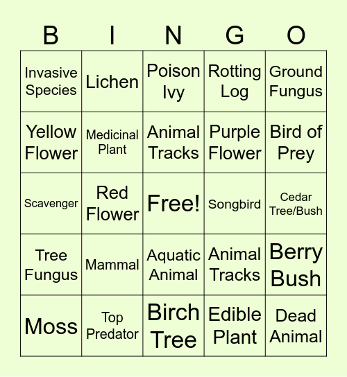 Ecosystem Survey Bingo Card