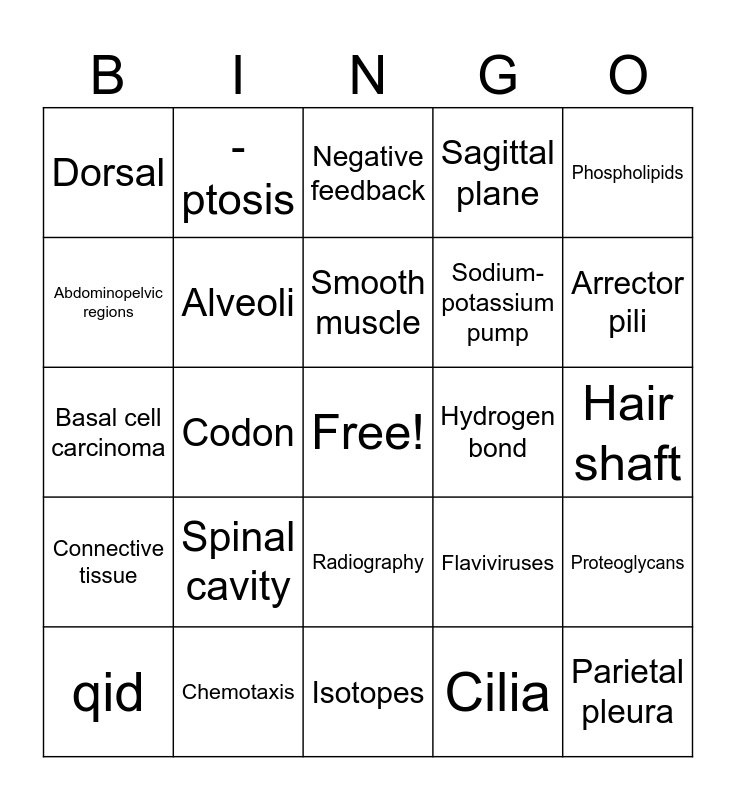 BIO206 Exam #1 BINGO Review Bingo Card