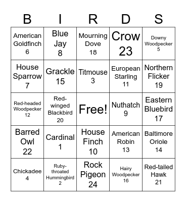 Backyard Birds Bingo Card